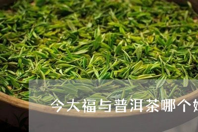 今大福与普洱茶哪个好/2023072450583