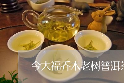 今大福乔木老树普洱茶/2023062373139