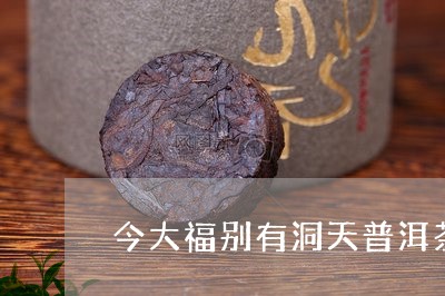 今大福别有洞天普洱茶/2023062044026