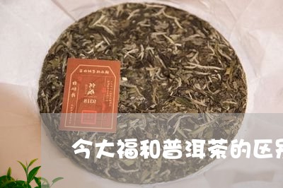 今大福和普洱茶的区别/2023093016259