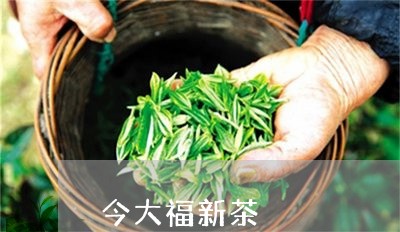 今大福新茶/2023121937473