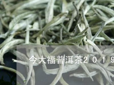 今大福普洱茶2019/2023080194249