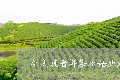 今大福普洱茶价格批发/2023061367481