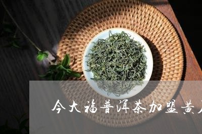 今大福普洱茶加盟黄石/2023092518292