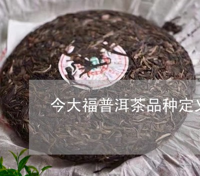 今大福普洱茶品种定义/2023062922739