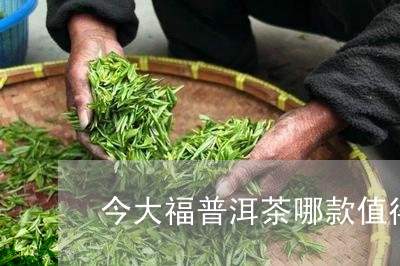 今大福普洱茶哪款值得买/2023082516059