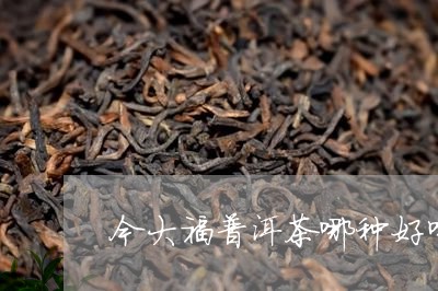 今大福普洱茶哪种好喝/2023093060492