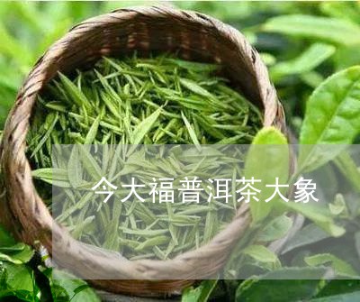 今大福普洱茶大象/2023120554147