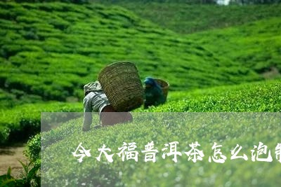 今大福普洱茶怎么泡制/2023092751681