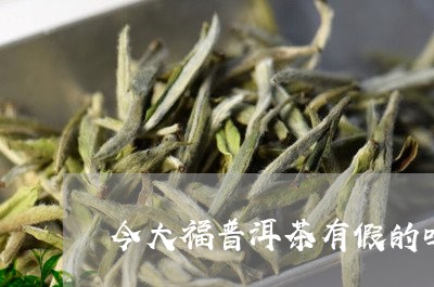 今大福普洱茶有假的吗/2023092782172