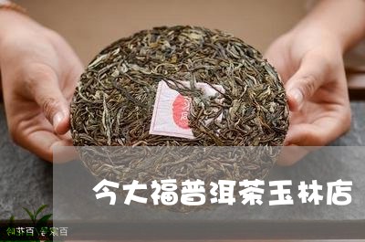 今大福普洱茶玉林店/2023120528169