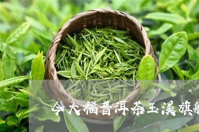 今大福普洱茶玉溪旗舰店/2023102416058