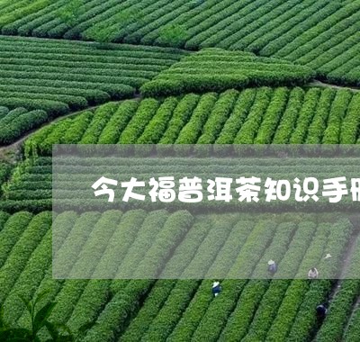 今大福普洱茶知识手册/2023112708257