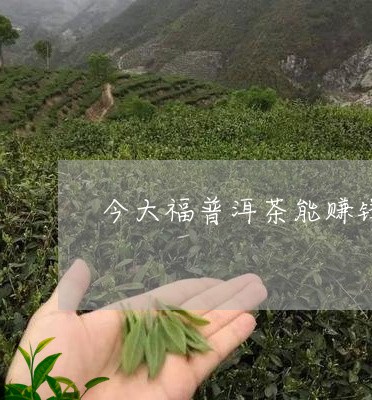 今大福普洱茶能赚钱吗/2023092845848