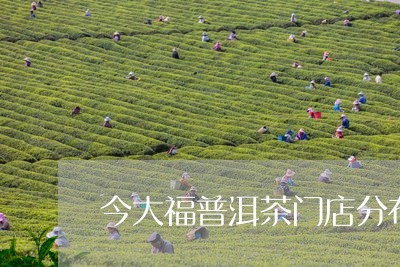 今大福普洱茶门店分布/2023092998470