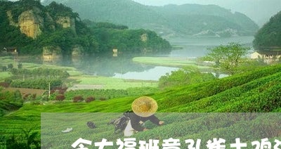 今大福班章孔雀土鸡沱/2023092263268