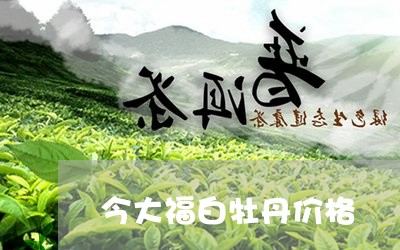 今大福白牡丹价格/2023090676268