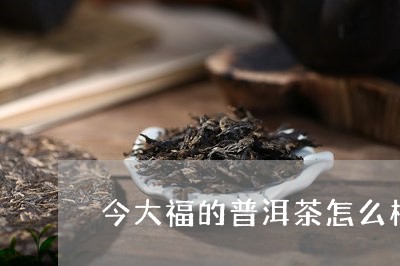 今大福的普洱茶怎么样/2023092670703