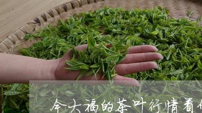 今大福的茶叶行情看什么网站/2023052763814