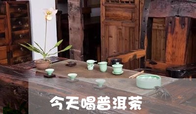 今天喝普洱茶/2023091279395