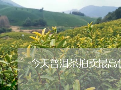 今天普洱茶拍卖最高价格是/2023102577371