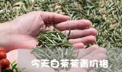 今天白茶茶青价格/2023061573846