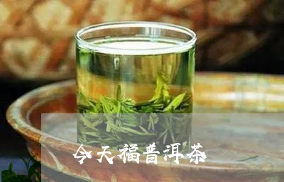 今天福普洱茶/2023042680601