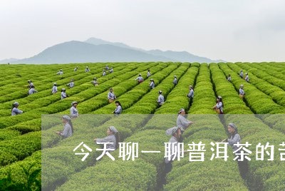 今天聊一聊普洱茶的苦与涩/2023112998482