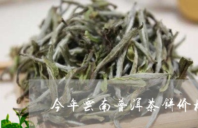 今年云南普洱茶饼价格/2023080226583