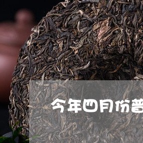 今年四月份普洱茶视频/2023092635068