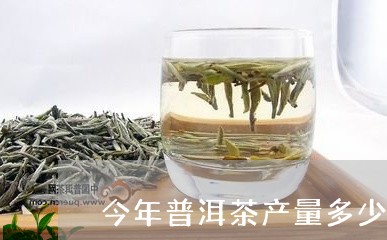 今年普洱茶产量多少公斤/2023082800593