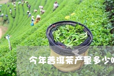 今年普洱茶产量多少吨/2023082860825