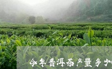 今年普洱茶产量多少吨/2023110515269