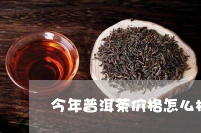 今年普洱茶价格怎么样/2023092963606