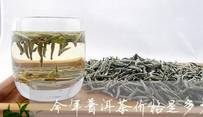 今年普洱茶价格是多少/2023062733826