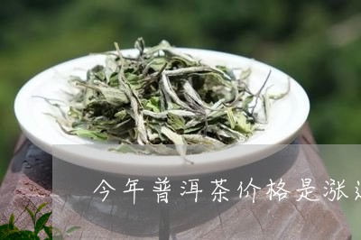 今年普洱茶价格是涨还是跌/2023081528291