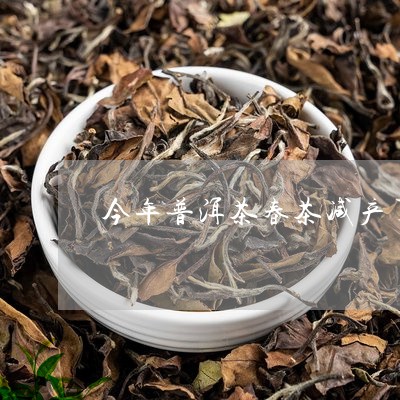 今年普洱茶春茶减产了吗/2023120721616