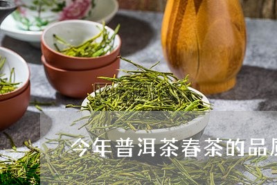 今年普洱茶春茶的品质特征/2023110271505