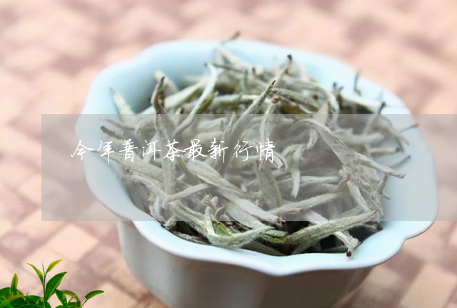 今年普洱茶最新行情/2023110951916