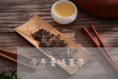 今年普洱茶节/2023091268171