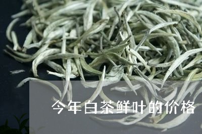 今年白茶鲜叶的价格/2023071597259