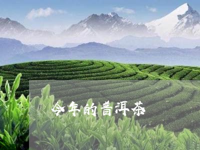 今年的普洱茶/2023042679914