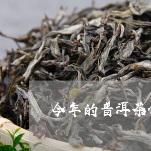 今年的普洱茶价格跌了/2023080273047