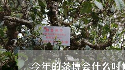 今年的茶博会什么时候开始/2023051128831