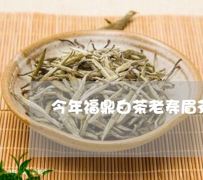 今年福鼎白茶老寿眉茶饼/2023092494128