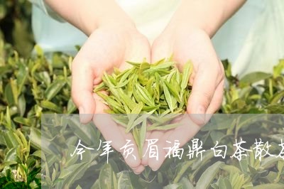 今年贡眉福鼎白茶散茶/2023062931592