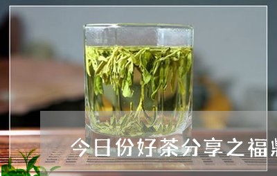 今日份好茶分享之福鼎白茶/2023062916139