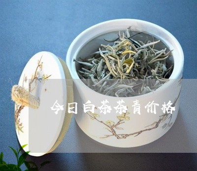 今日白茶茶青价格/2023061584049