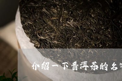 介绍一下普洱茶的名字/2023072202736