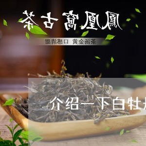 介绍一下白牡丹/2023090215939